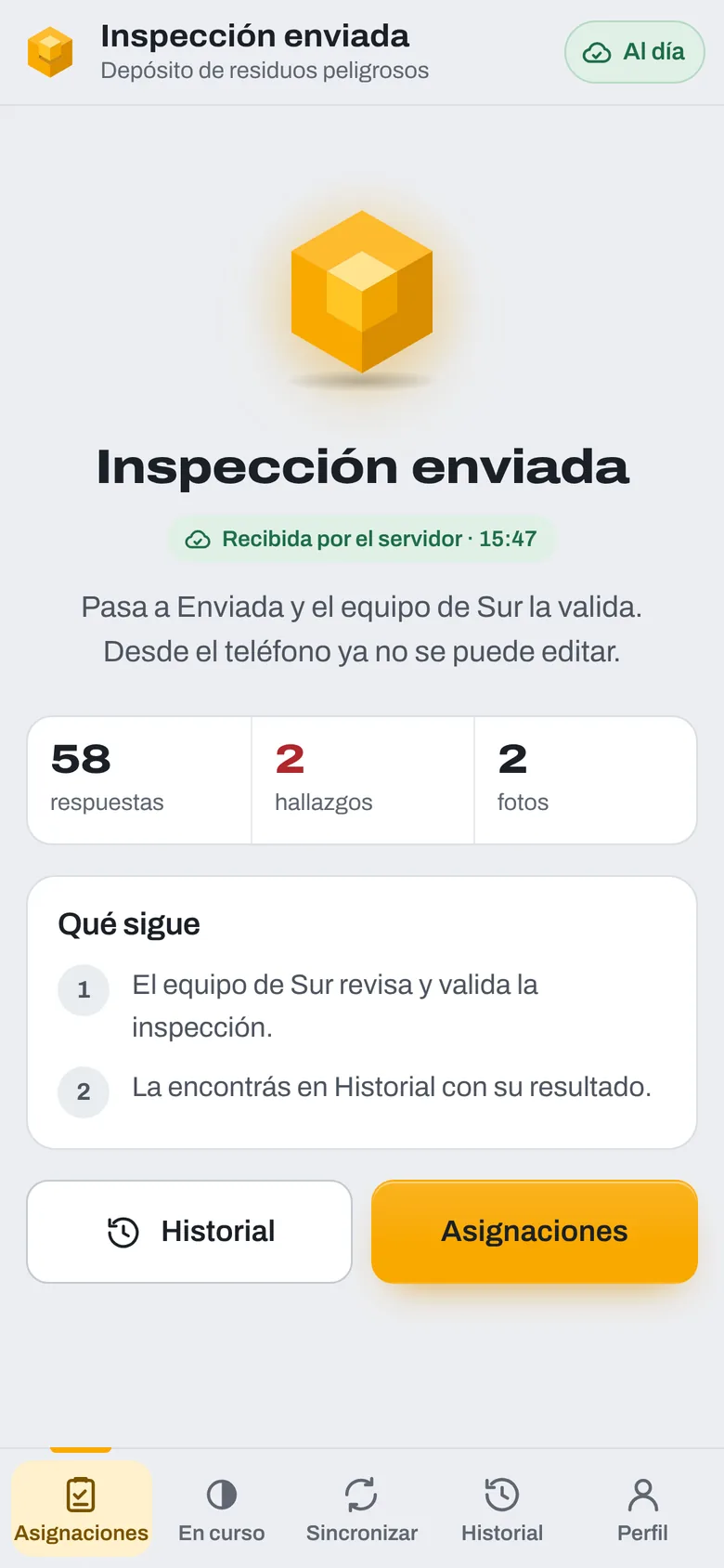 Inspección enviada: el cubo encajado y el resumen de respuestas, hallazgos y fotos
